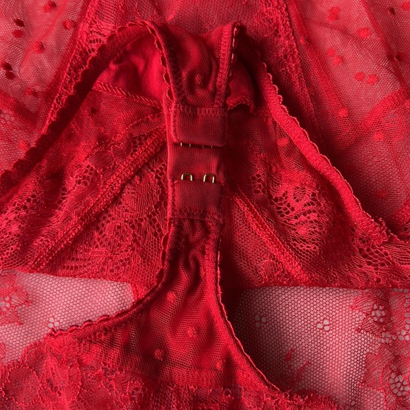 Dita Von Teese Fiamma Bodusuit - Picture 14 of 16